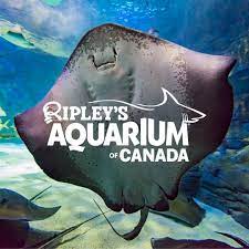 Ripley's Aquarium